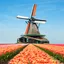 Netherlands