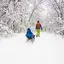 Vacances d'hiver